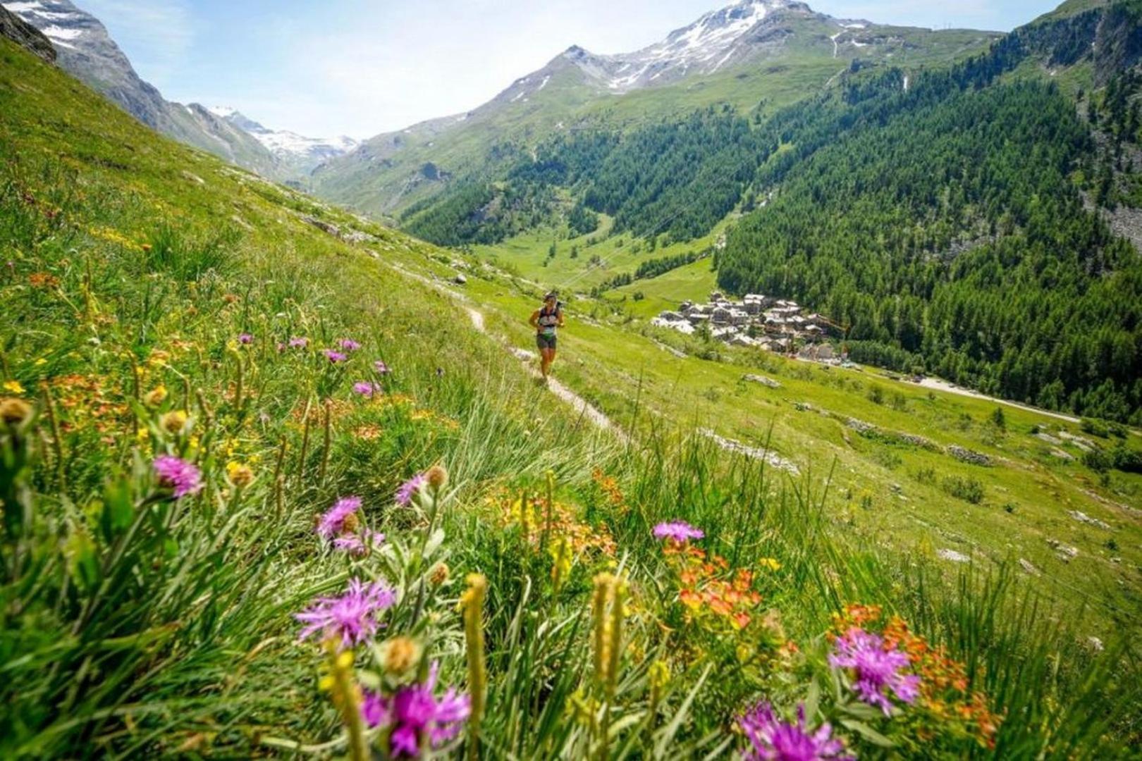 Mazot Loppe - A Cosy Central Chamonix Hideaway Exteriör bild